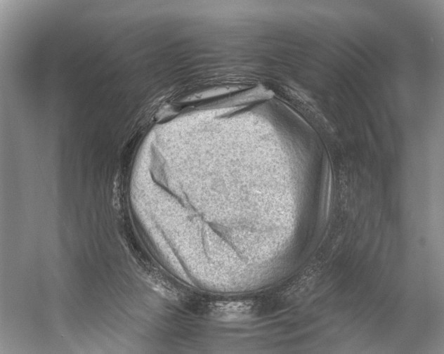 X0000053150161200508081420