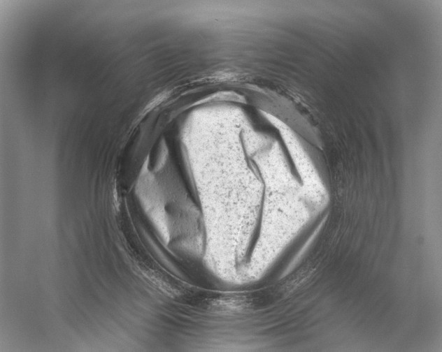 X0000053150164200508081420