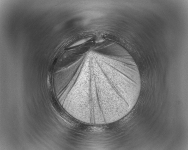 X0000053150166200508081420