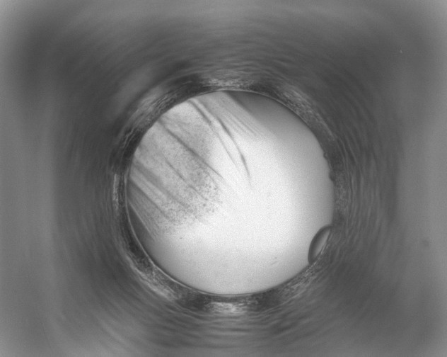 X0000053150167200508081420