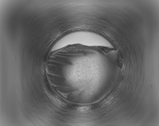 X0000053150168200508081420