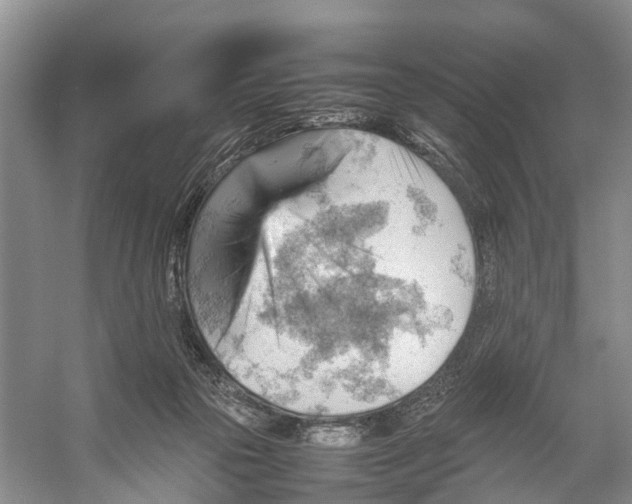 X0000053150169200508081420