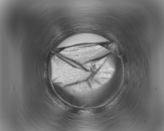 X0000053150170200508081420