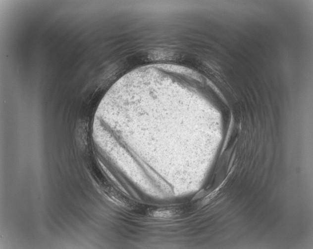 X0000053150171200508081420