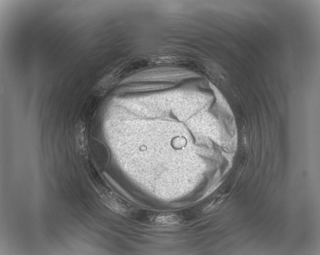 X0000053150173200508081420