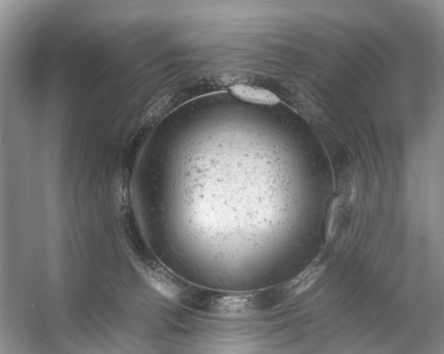 X0000053150176200508081420