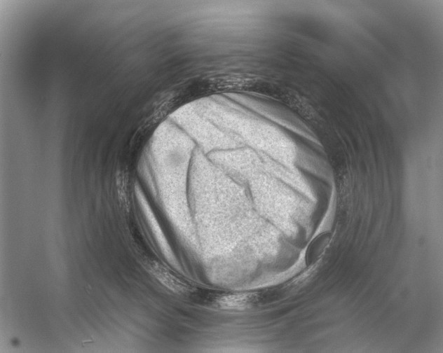 X0000053150178200508081420