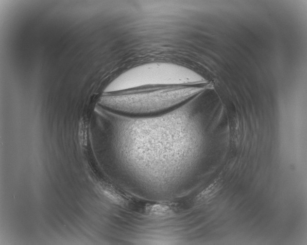 X0000053150180200508081420