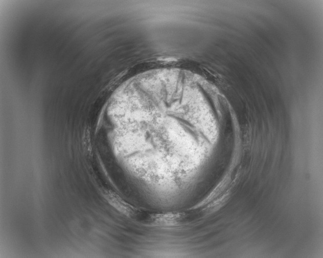 X0000053150182200508081420