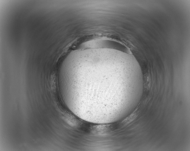 X0000053150184200508081420