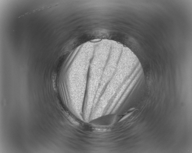 X0000053150185200508081420