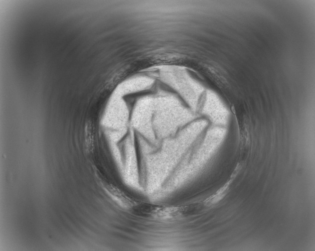 X0000053150186200508081420