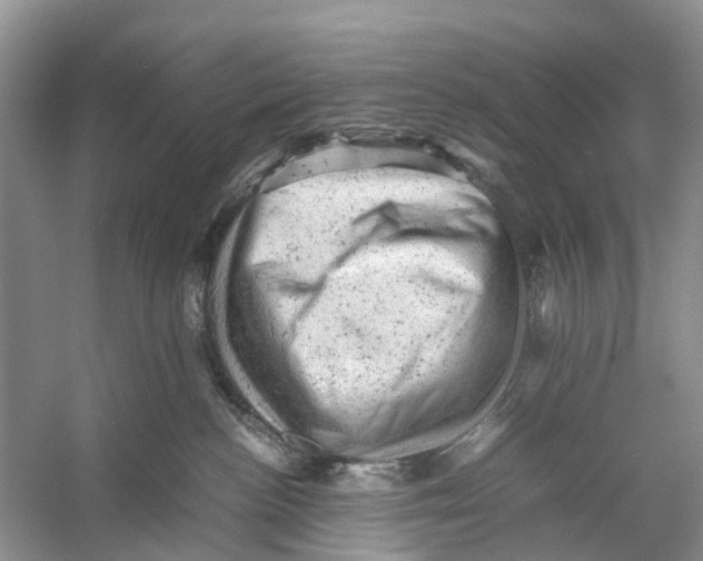 X0000053150188200508081420