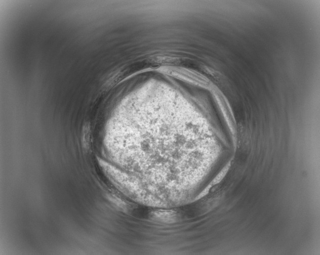 X0000053150189200508081420