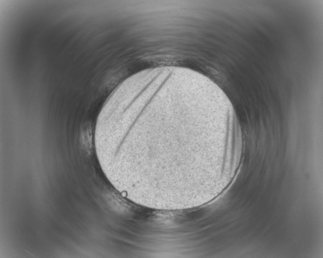 X0000053150190200508081420