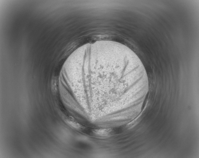 X0000053150191200508081420