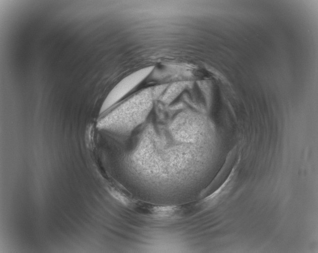 X0000053150192200508081420