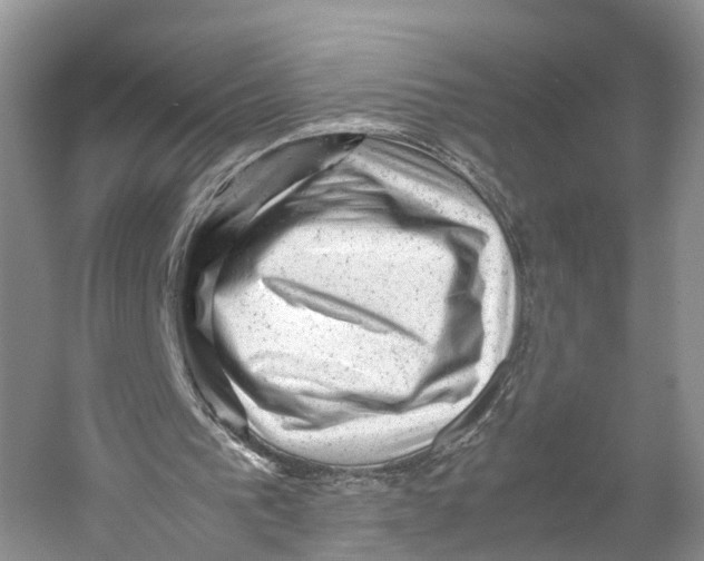 X0000053150193200508081419