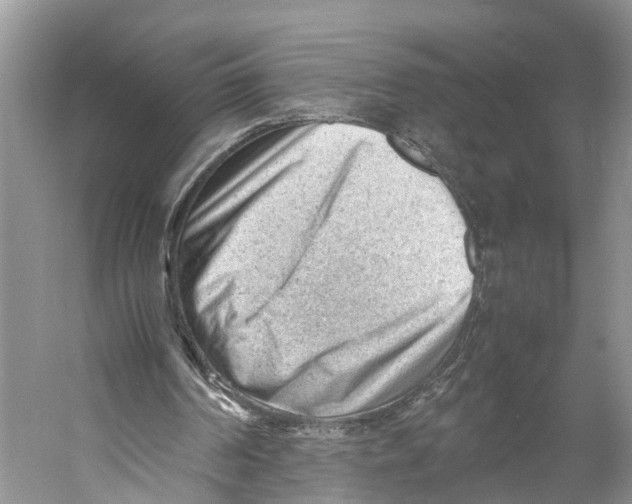 X0000053150194200508081419