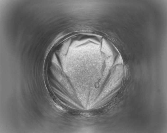 X0000053150195200508081419