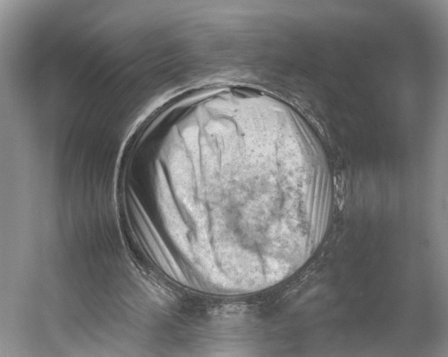 X0000053150196200508081419