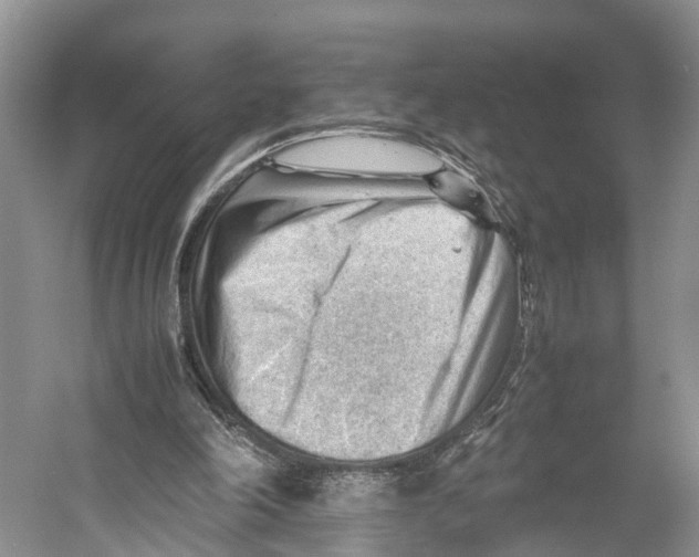 X0000053150198200508081419