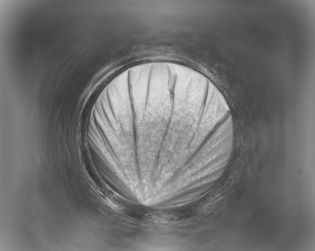 X0000053150199200508081419