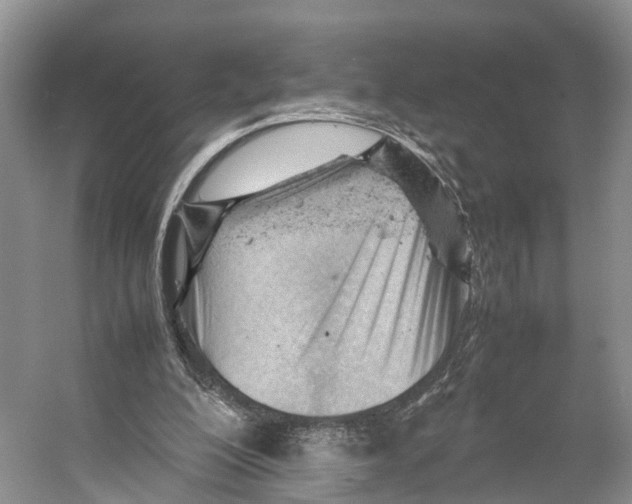 X0000053150200200508081419