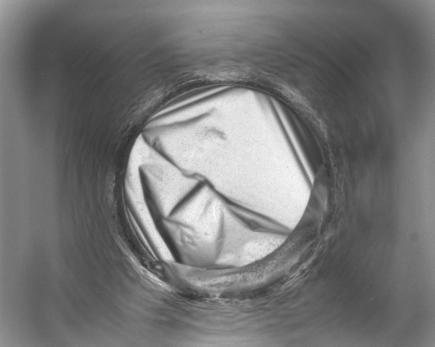 X0000053150201200508081419