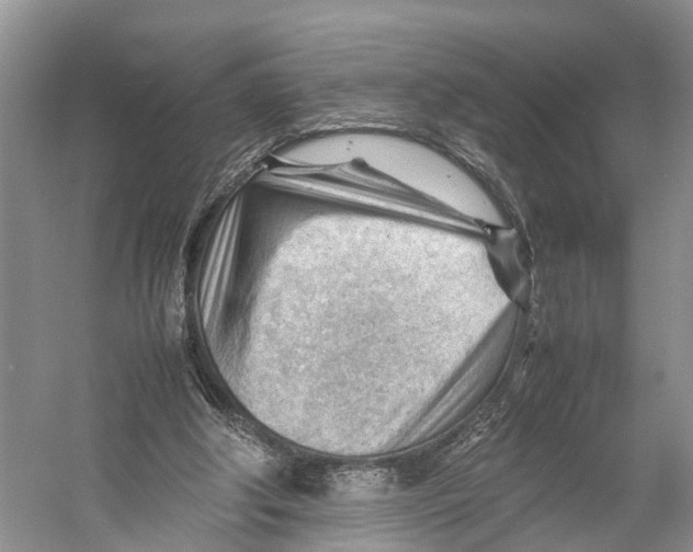 X0000053150202200508081419