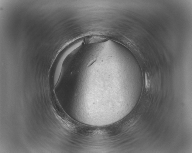 X0000053150204200508081419