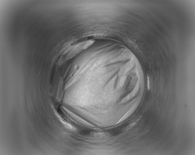 X0000053150205200508081419