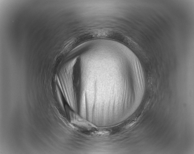 X0000053150209200508081419