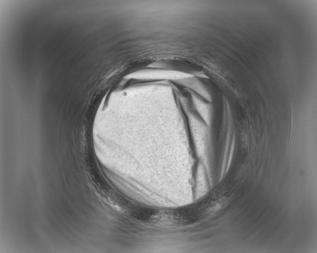 X0000053150211200508081419