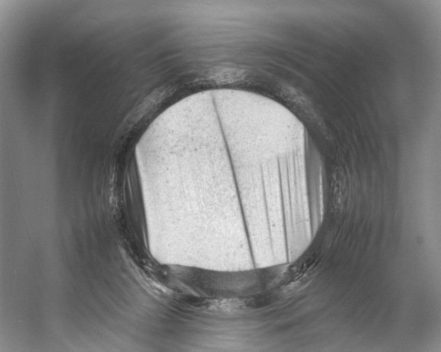 X0000053150212200508081419