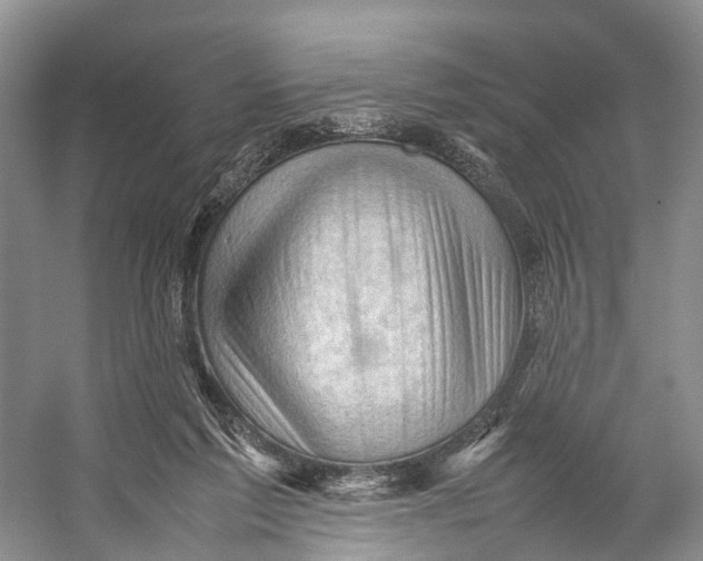 X0000053150213200508081419