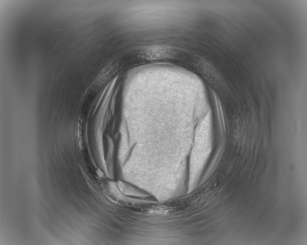 X0000053150214200508081419