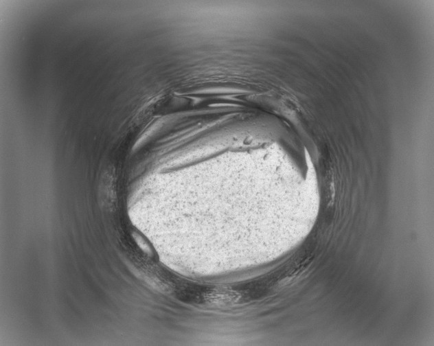 X0000053150215200508081419