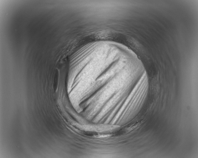 X0000053150217200508081419