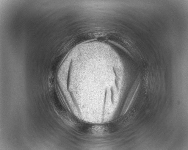 X0000053150218200508081419