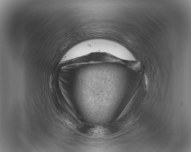 X0000053150219200508081419