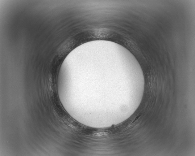 X0000053150220200508081419