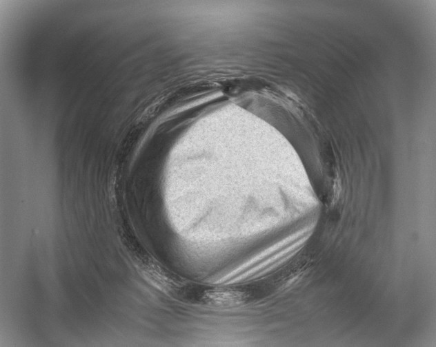 X0000053150221200508081419