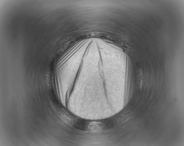 X0000053150222200508081419