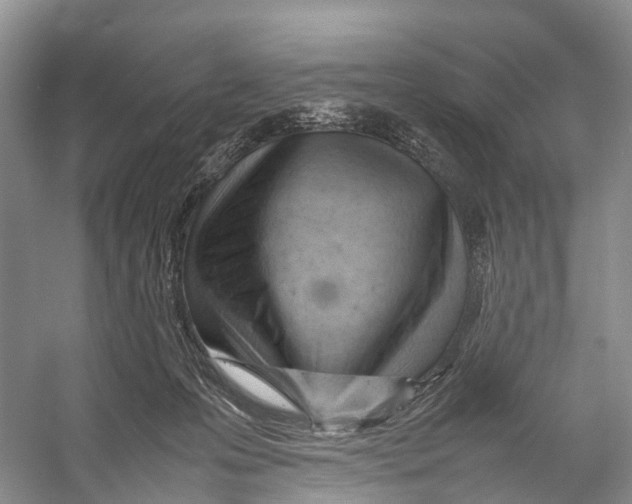 X0000053150223200508081419