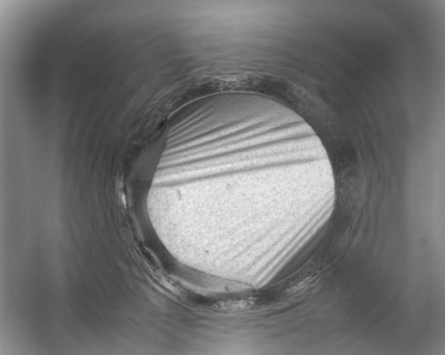 X0000053150225200508081419