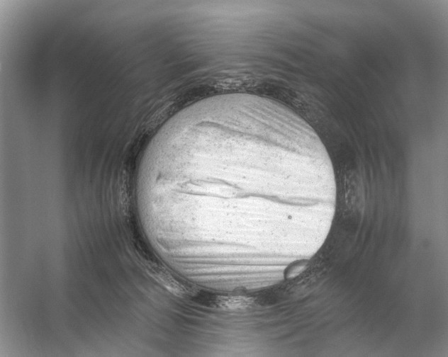 X0000053150226200508081419