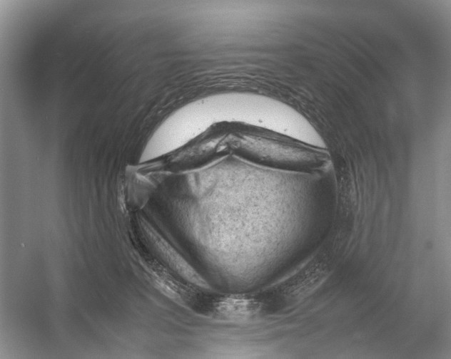 X0000053150227200508081419