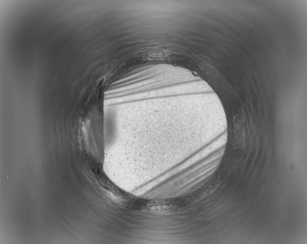 X0000053150228200508081419