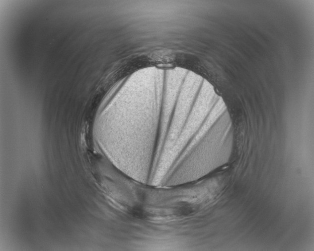 X0000053150229200508081419